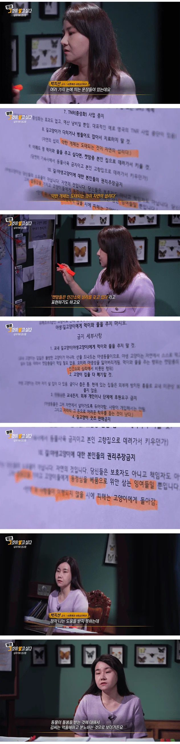 [이갤] 전문가들이 분석한 2030남자들에 고양이 혐오가 퍼지는 이유