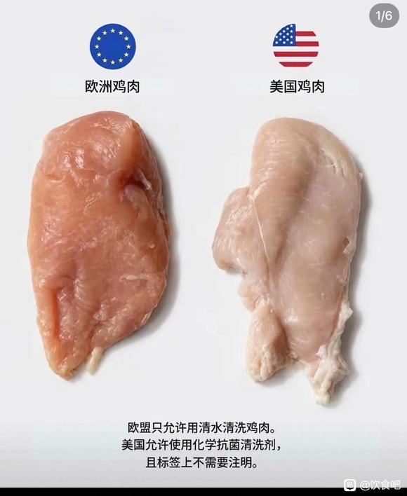 국경일 혈액 회복 계획