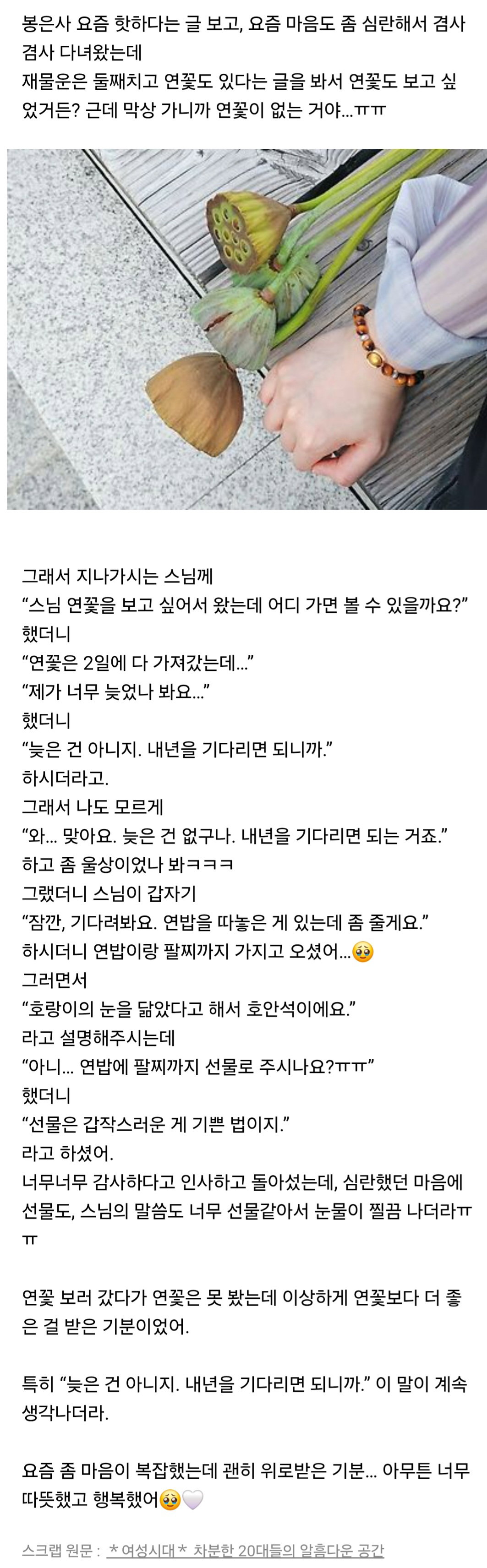 봉은사에 갔다가 힐링 제대로 했어