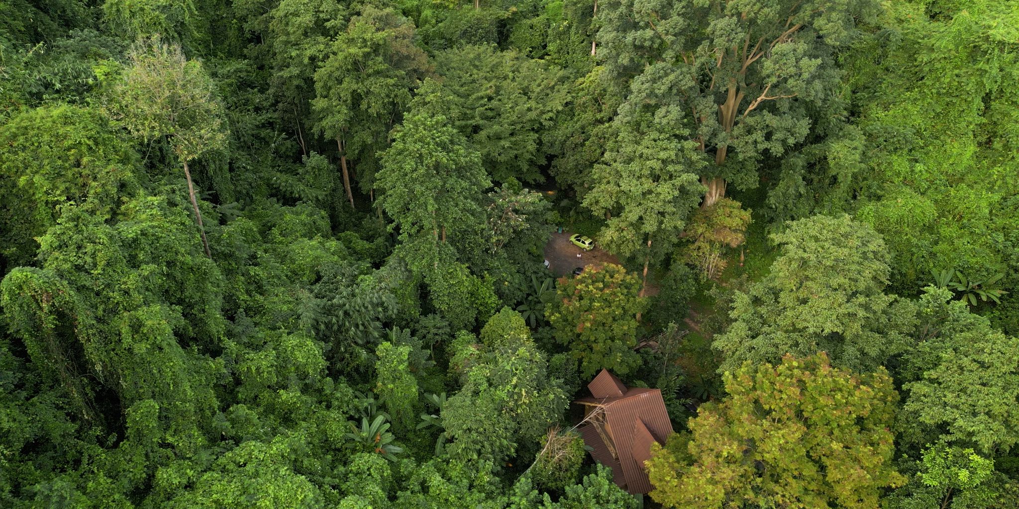 พาน้องหมามาแคมป์ปิ้งครั้งแรก! ลำธารกลางหุขเขา หน้าฝน  | CAMPING ASMR